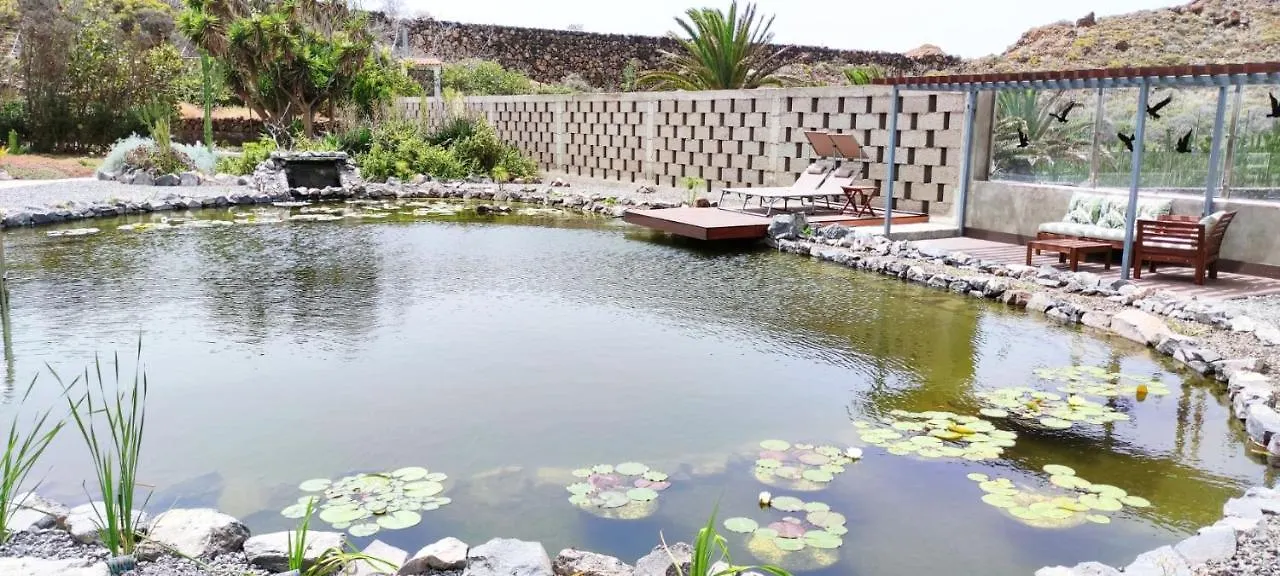 Finca La Punta Icod De Los Vinos 0*,
