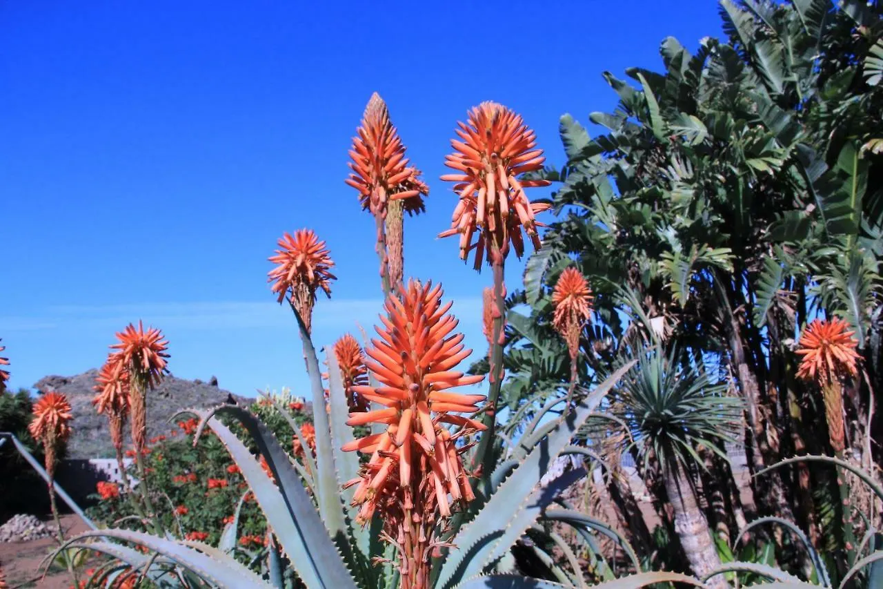 Finca La Punta Icod De Los Vinos 0*,