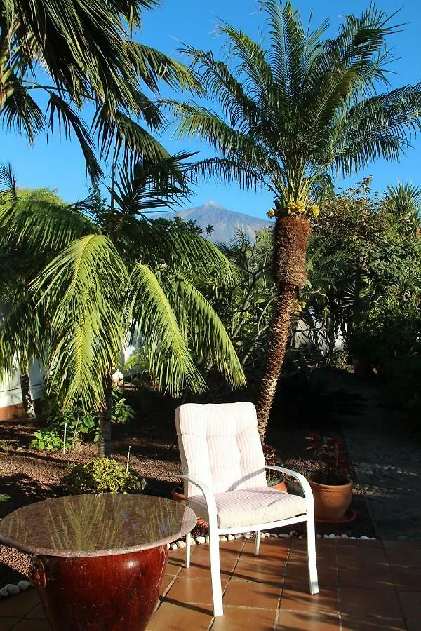 Finca La Punta Icod De Los Vinos