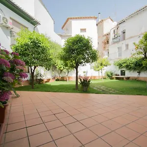 https://apartamento-centro-granada-18010.es-andalucia.com